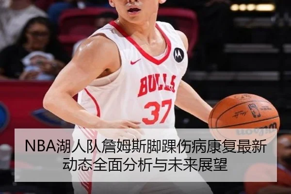 NBA湖人队詹姆斯脚踝伤病康复最新动态全面分析与未来展望